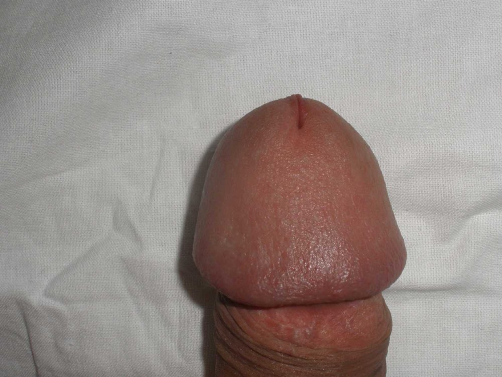http://cs.pikabu.ru/images/big_size_comm/2011-12_2/13233805974866.jpg