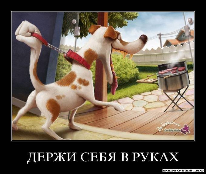 Как заставить взять себя в руки и похудеть Как заставить взять себя в руки и похудеть