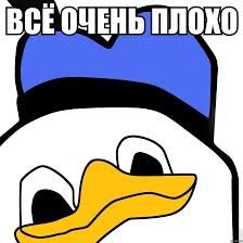 13778728487151.jpg