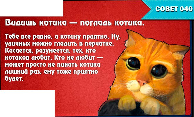 Сначала доем и тебе пизда Сначала доем и тебе пизда