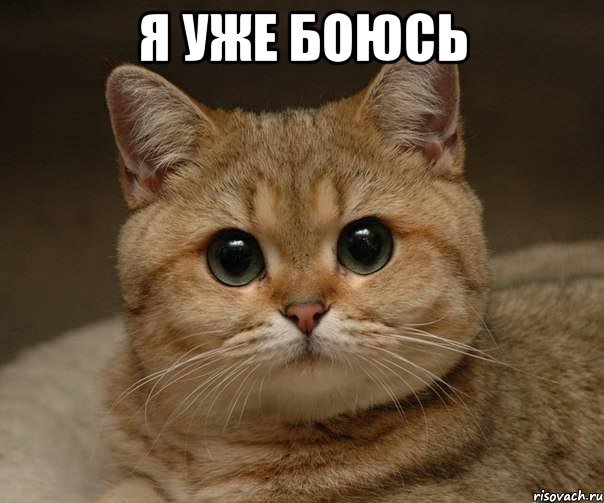 13877435494168.jpeg