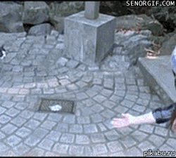 Вот это я понимаю Fuck yeah Пикабу