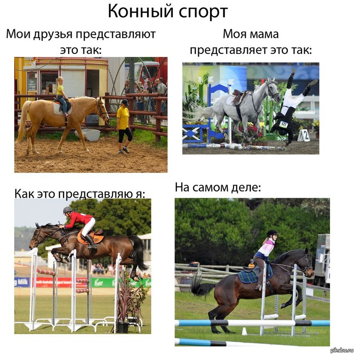 Статусы в конном спорте Статусы в конном спорте