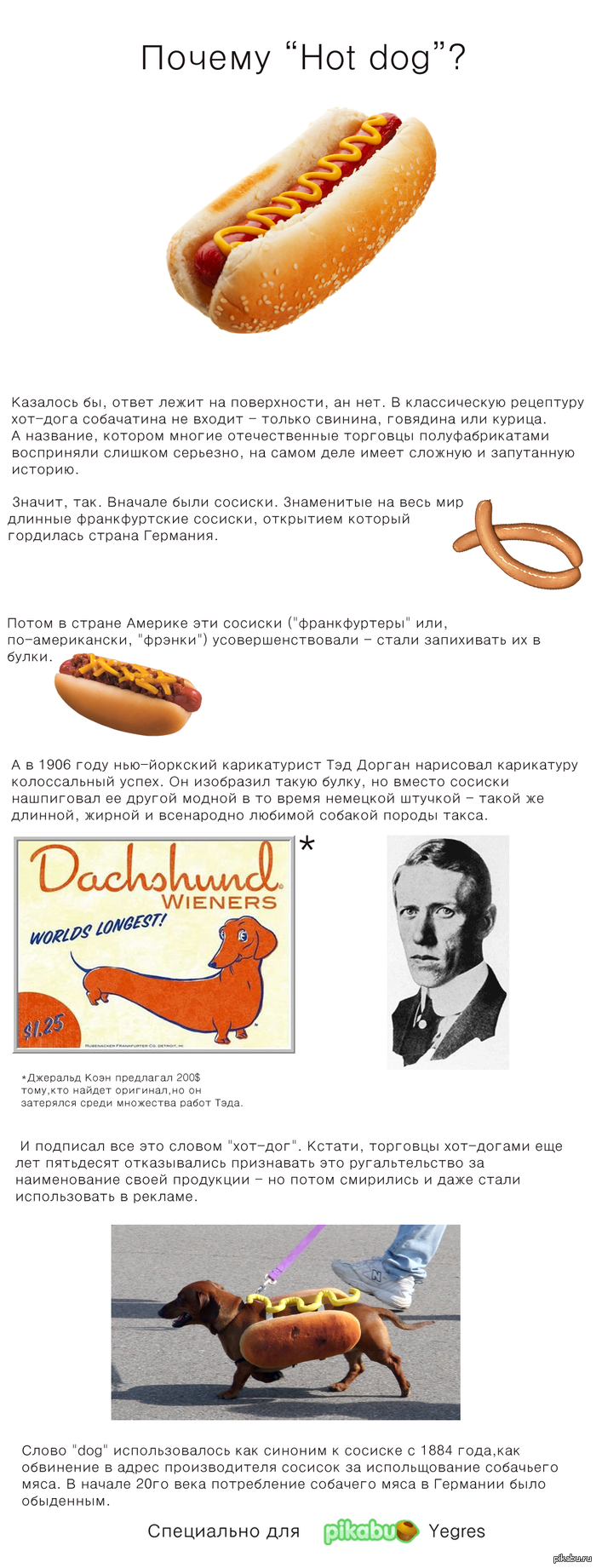 Почему хот дог называется хот догом Почему хот дог называется хот догом