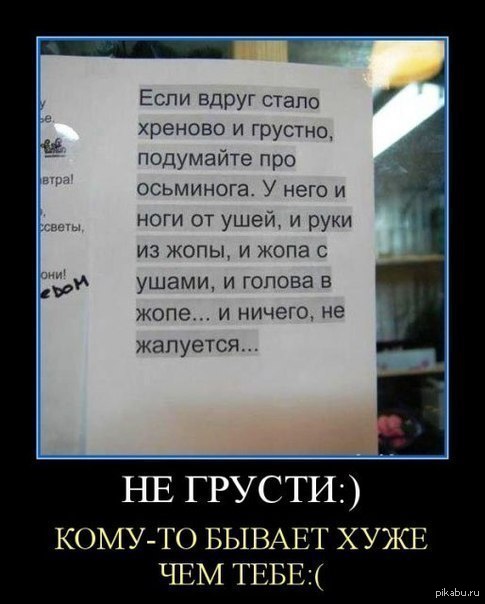 Выпускной в стиле оскар сценарий 2017 Выпускной в стиле оскар сценарий 2017