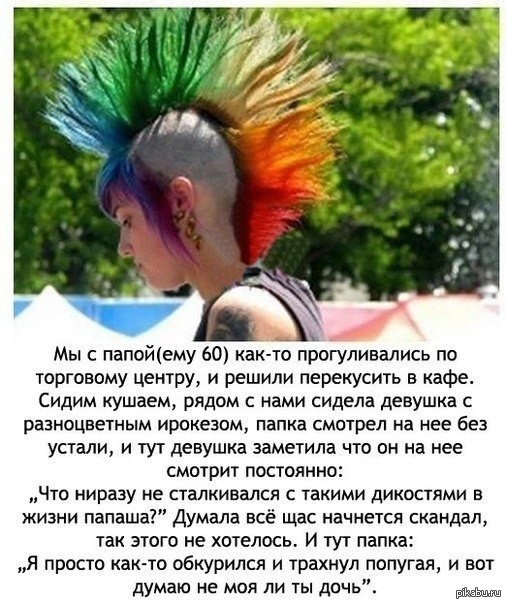 Анекдоты попугая не сын Анекдоты попугая не сын