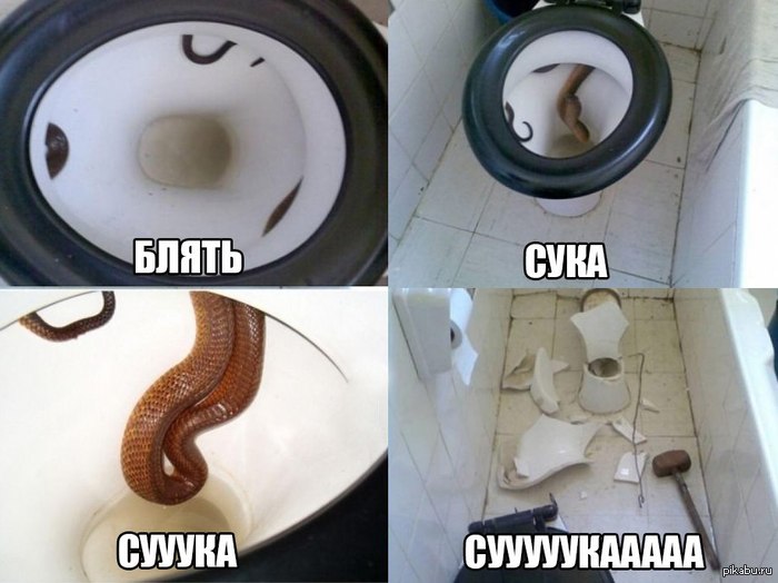 Как сходить в туалет при запоре в домашних условиях быстро