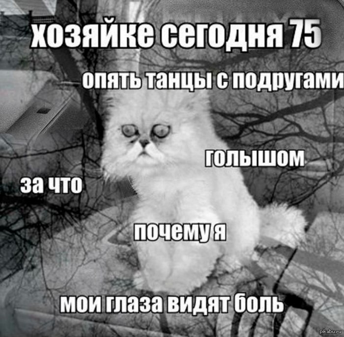 1381428361_1153235889.jpg