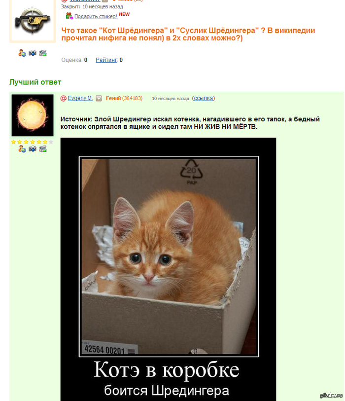 Сценарий школьного летнего концерта Сценарий школьного летнего концерта