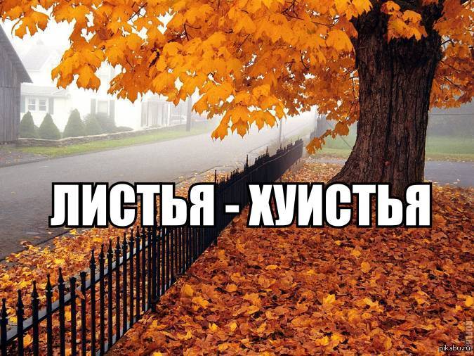 Картинки Осень Пришла С Надписью