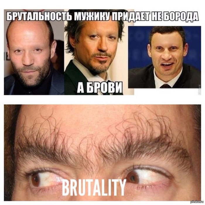 А.с.пушкин сказка о золотом петушке раскраска А.с.пушкин сказка о золотом петушке раскраска