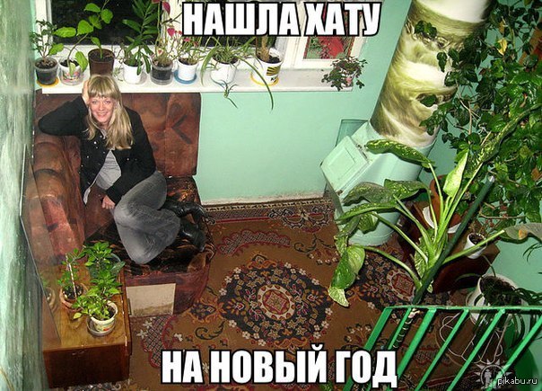 Они нашли хату на новый год Они нашли хату на новый год