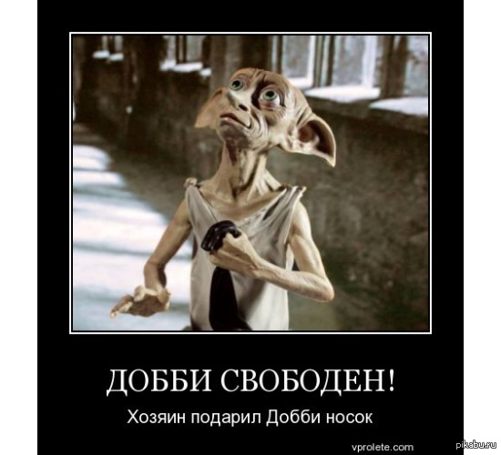 Добби подарили носки Добби подарили носки
