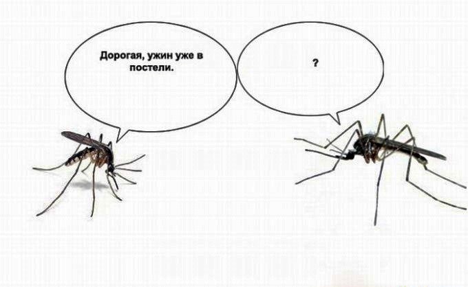 Как сделать не упрощённый стиль в windows 7 2 Как сделать не упрощённый стиль в windows 7 57