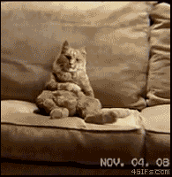 13427799132268.gif