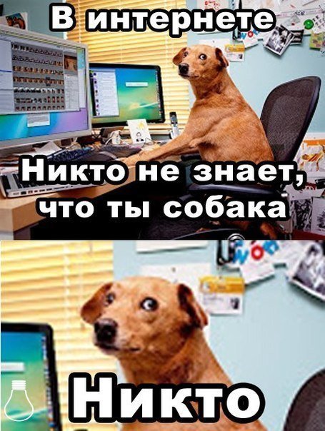 Картинка с форума