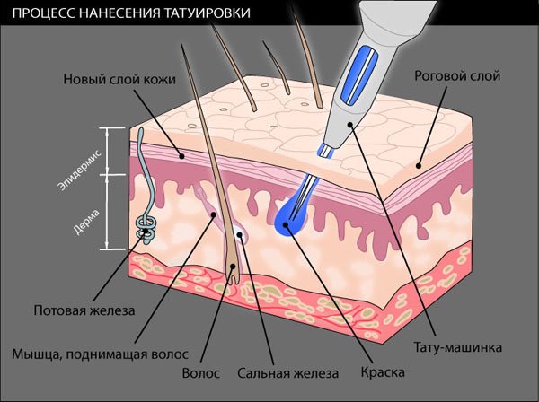Данар в домашних условиях рецепт 1 Данар в домашних условиях рецепт 19