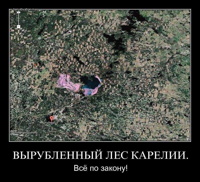 Недавно директор компании "Нестле" заявил, что нужно приватизировать ...