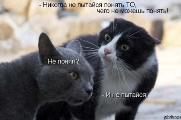 не обижайся на меня картинка парню онлайн не обижайся на меня картинка парню
