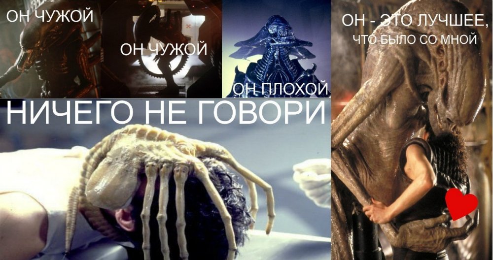 13694953389719.jpg