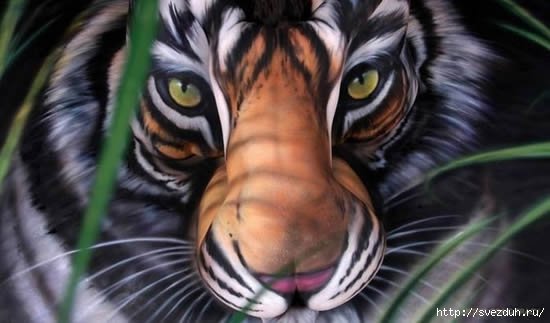 porno-toshih-bodiart-na-zhope-svadbe