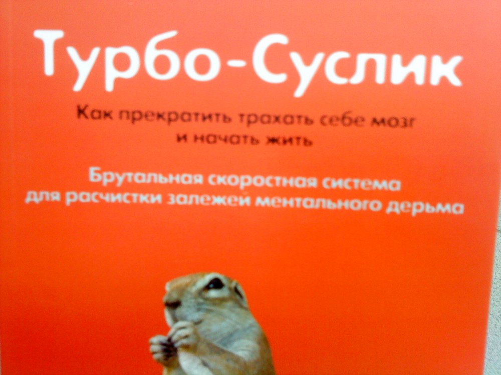 Турбо-суслик | Пикабу