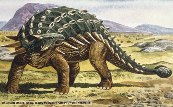 Картинки по запросу Анкилозавр