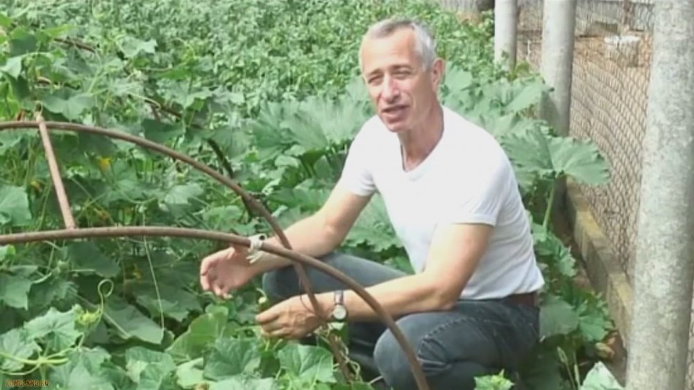 Сидячий спосіб життя шкідливий, як куріння: Супрун дала поради офісним працівникам - Цензор.НЕТ 3825