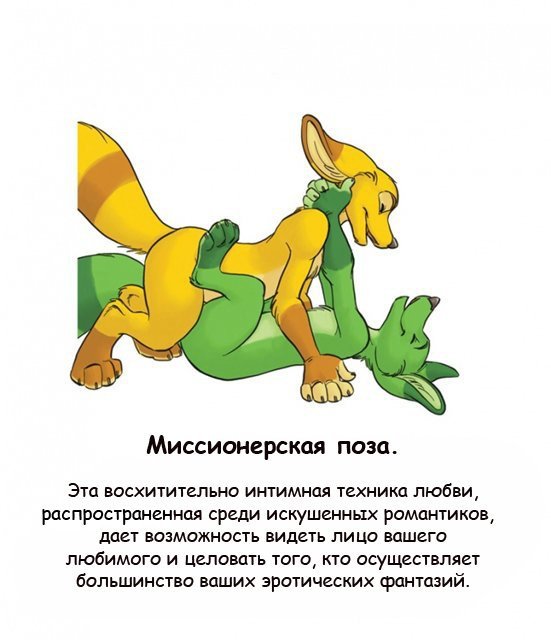 миссионерская поза картинки