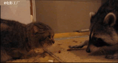 Извините! Но вот это моё!