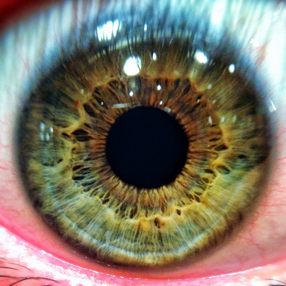 Макросъемка глаза