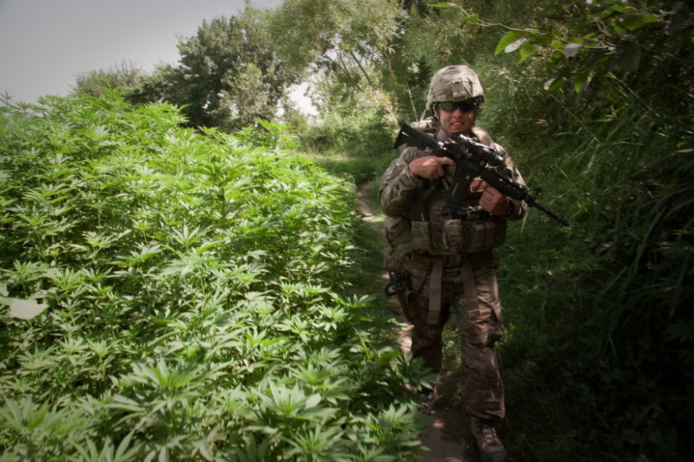 Солдат в конопле закон о марихуане в сша