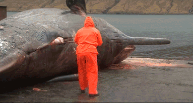 NHKɎX 148559 Ԃ̓ 	->摜>25 