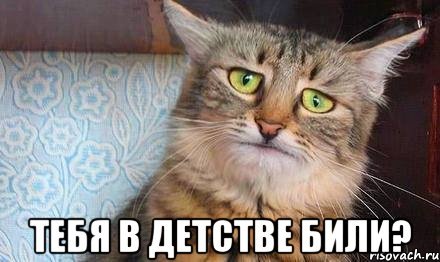 Он понимает вашу точку зрения
