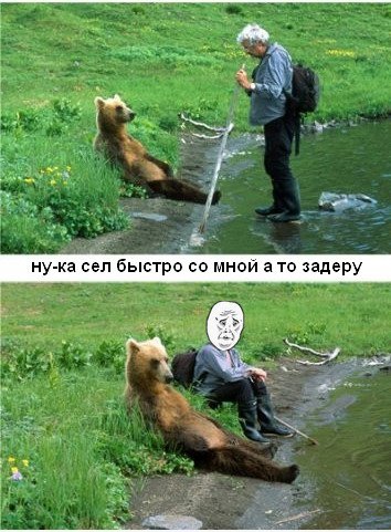 Мем про медведя и горящую машину. Смотреть фото Мем про медведя и горящую машину. Смотреть картинку Мем про медведя и горящую машину. Картинка про Мем про медведя и горящую машину. Фото Мем про медведя и горящую машину