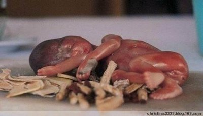 малыш китаец готовит еду. 13191015322670. малыш китаец готовит еду фото. малыш китаец готовит еду-13191015322670. картинка малыш китаец готовит еду. картинка 13191015322670. Традиционная китайская медицина полагается в основном на целительные свойства природных средств, однако некоторые ее рецепты способны сильно шокировать цивилизованных европейцев.