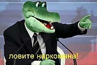 Я так хлеб люблю меня хлебом не корми хлебом корми. Смотреть фото Я так хлеб люблю меня хлебом не корми хлебом корми. Смотреть картинку Я так хлеб люблю меня хлебом не корми хлебом корми. Картинка про Я так хлеб люблю меня хлебом не корми хлебом корми. Фото Я так хлеб люблю меня хлебом не корми хлебом корми
