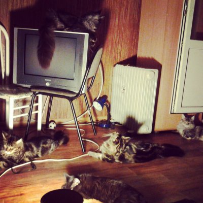 ����������� � �����������