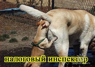Сынок ты поел да мама что ел. Смотреть фото Сынок ты поел да мама что ел. Смотреть картинку Сынок ты поел да мама что ел. Картинка про Сынок ты поел да мама что ел. Фото Сынок ты поел да мама что ел