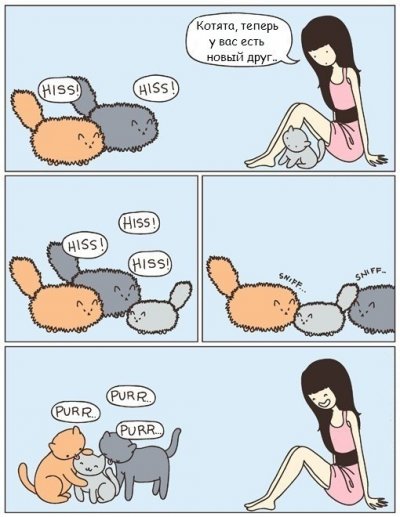 ����������� � �����������