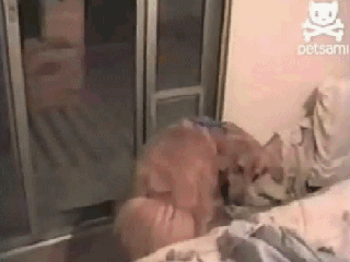 ,   ... 