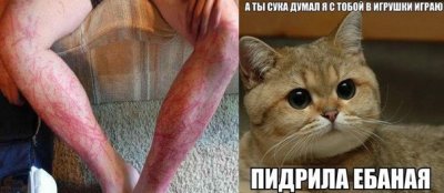 https://cs.pikabu.ru/images/previews_comm/2012-11_4/13533101984635.jpg