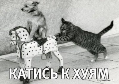 Ну что мириться будем. Смотреть фото Ну что мириться будем. Смотреть картинку Ну что мириться будем. Картинка про Ну что мириться будем. Фото Ну что мириться будем