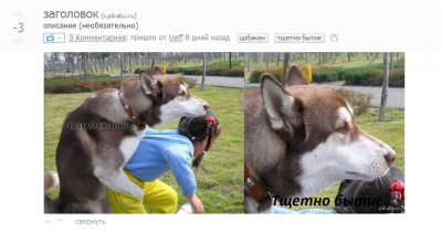 ����������� � �����������