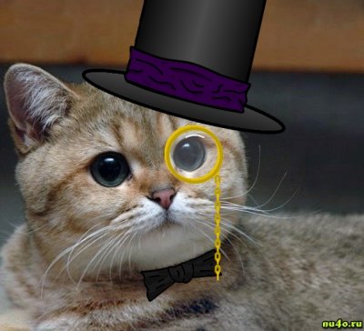 Иллюстрация к комментарию