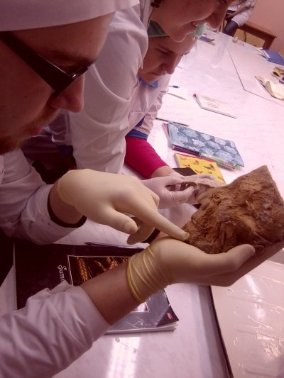 ����������� � �����������