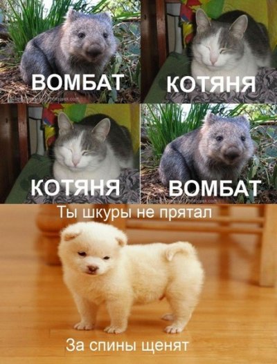Иллюстрация к комментарию