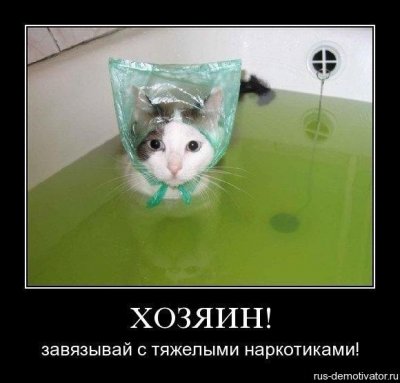 Юсб он делать так умел. Смотреть фото Юсб он делать так умел. Смотреть картинку Юсб он делать так умел. Картинка про Юсб он делать так умел. Фото Юсб он делать так умел