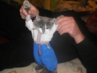 Иллюстрация к комментарию