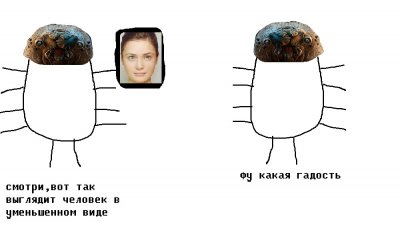 Как выглядит гусеница под микроскопом. Смотреть фото Как выглядит гусеница под микроскопом. Смотреть картинку Как выглядит гусеница под микроскопом. Картинка про Как выглядит гусеница под микроскопом. Фото Как выглядит гусеница под микроскопом